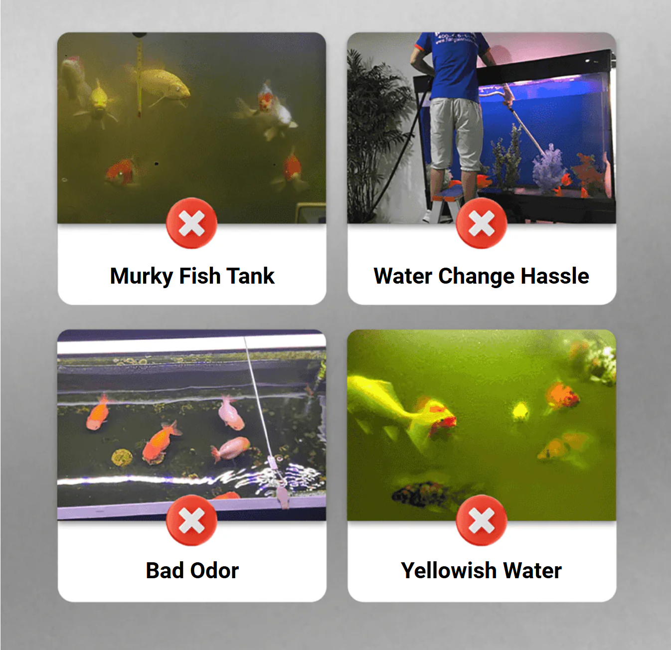 Theflame™ Algae & Moss Remover for Fish Tank and Fish Pond