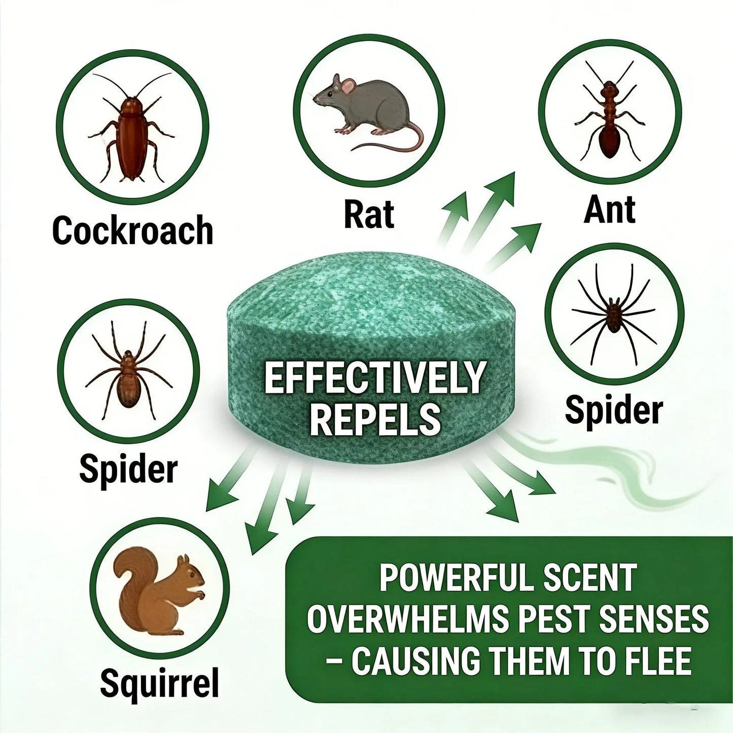 🥳2026 HOT SALE🥳💞50K+ SOLD!🏠🛡️ 50% OFF! All‑Pest Repellent – Safe for pets & wildlife. No poisons, just effective. Use indoors & out. 🐾✅ (OFFER)