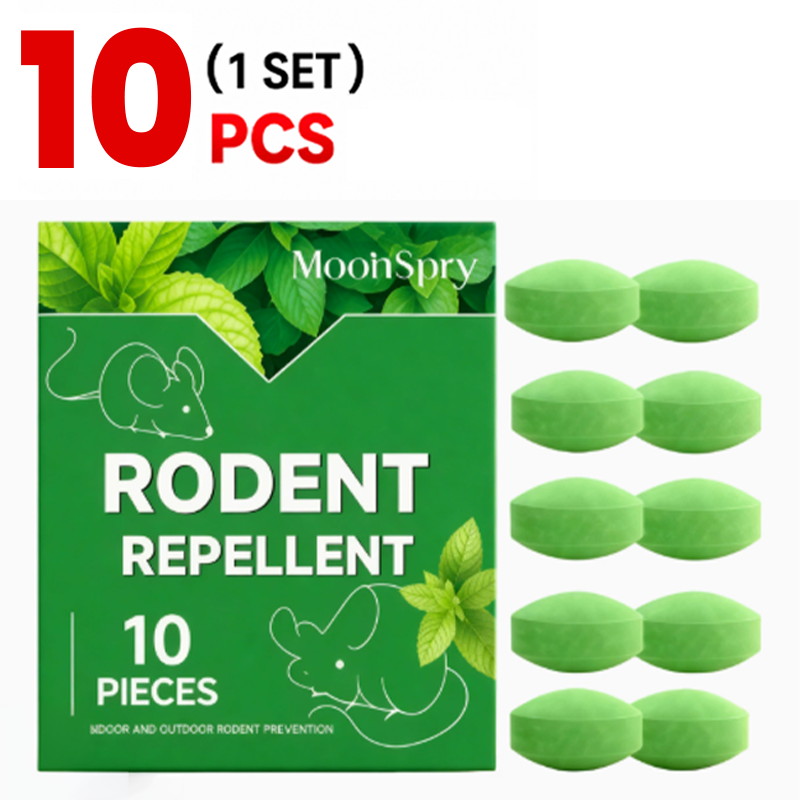 1 BOX 10 PCS