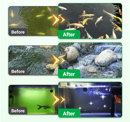 Theflame™ Algae & Moss Remover for Fish Tank and Fish Pond