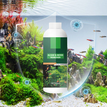 Theflame™ Algae & Moss Remover for Fish Tank and Fish Pond (Offer)