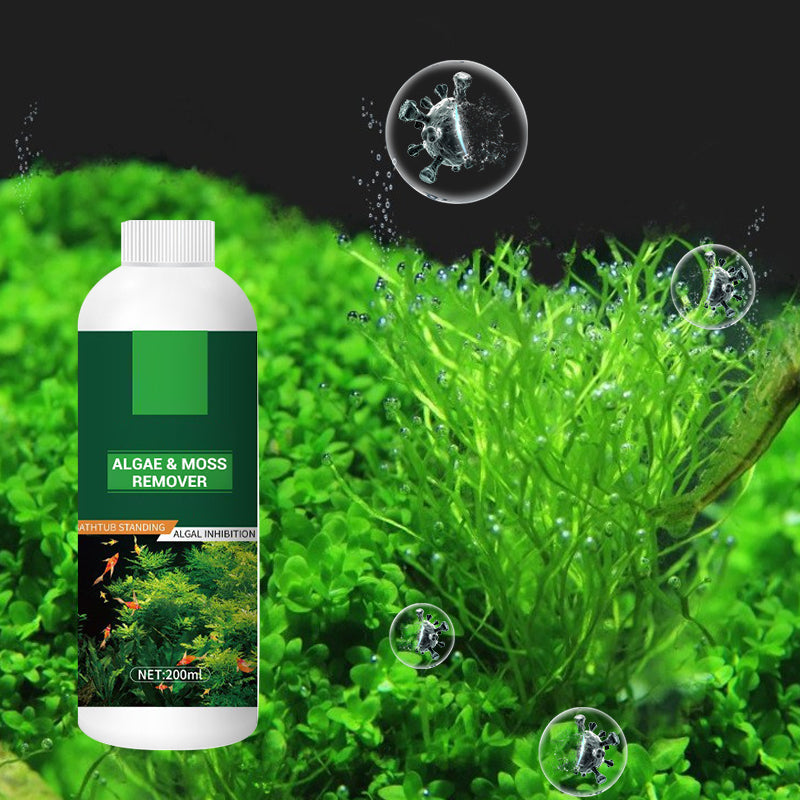 Theflame™ Algae & Moss Remover for Fish Tank and Fish Pond (Offer)