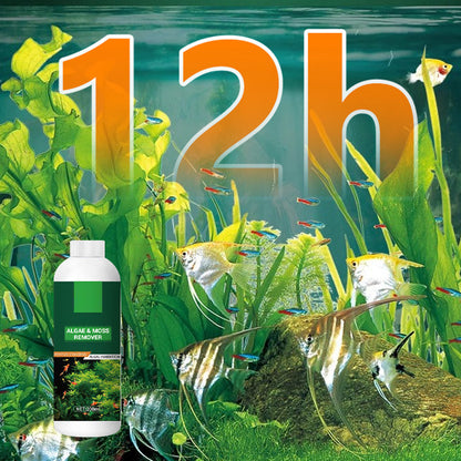 Theflame™ Algae & Moss Remover for Fish Tank and Fish Pond (Offer)