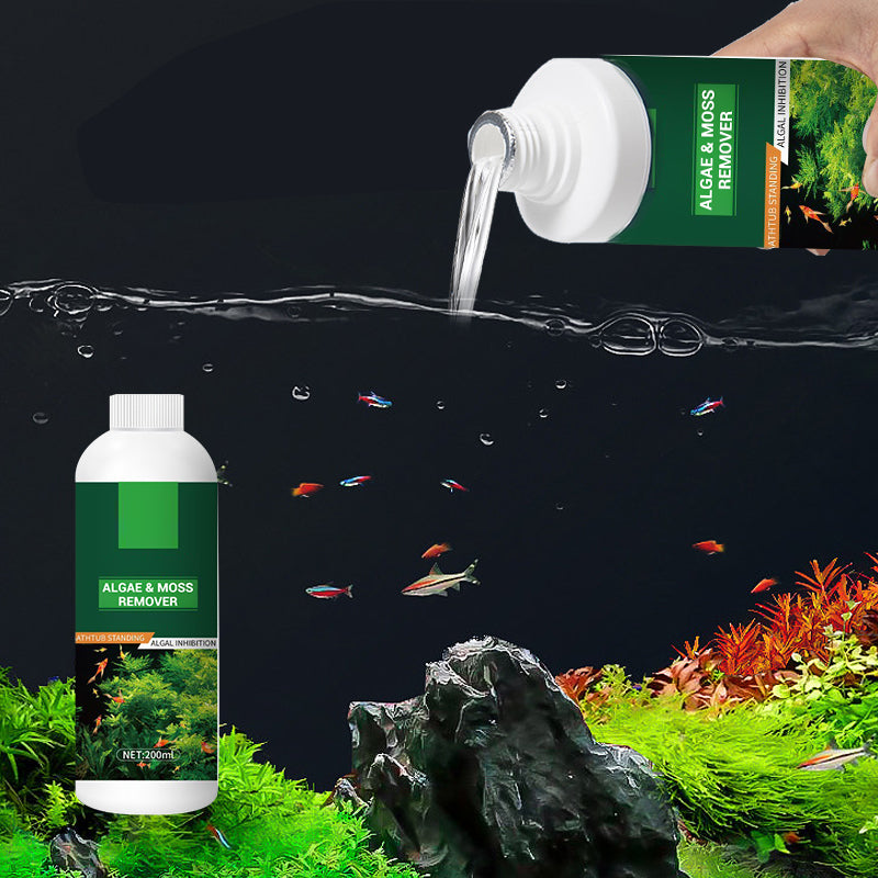 Theflame™ Algae & Moss Remover for Fish Tank and Fish Pond (Offer)