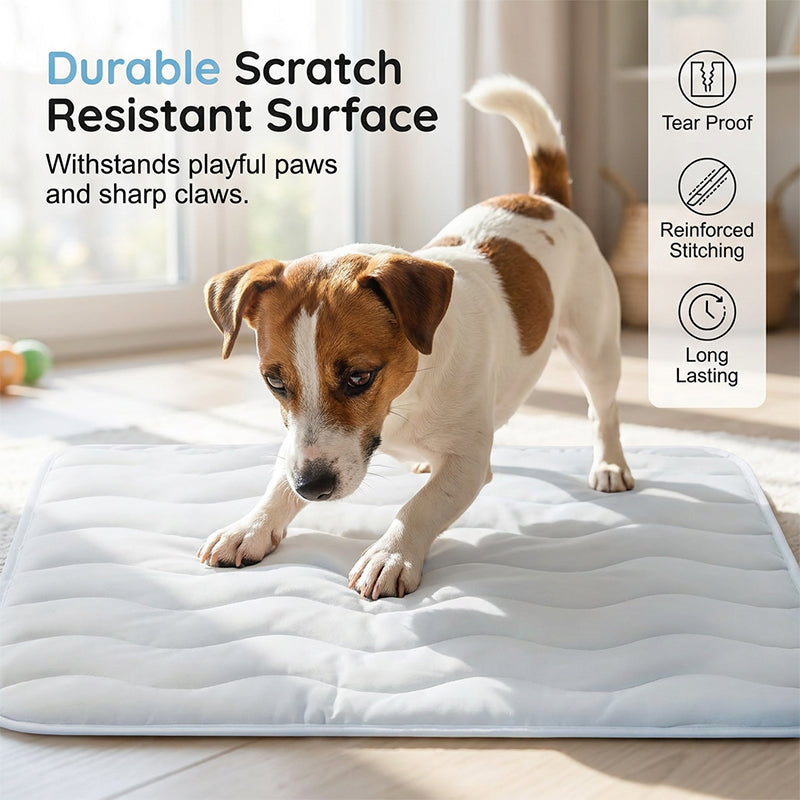 ❄️Summer Sale❄️ Theflame™ Pet Cooling Ice Silk Mat – Summer Cooling Pet Bed Pad for Dogs and Cats🐾