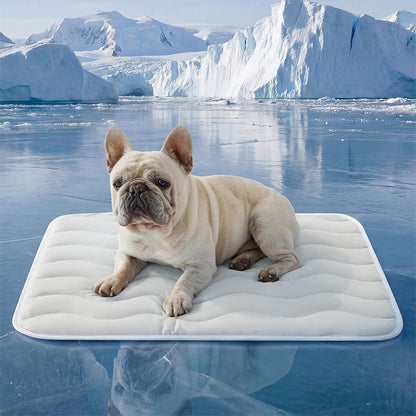 ❄️Summer Sale❄️ Theflame™ Pet Cooling Ice Silk Mat – Summer Cooling Pet Bed Pad for Dogs and Cats🐾